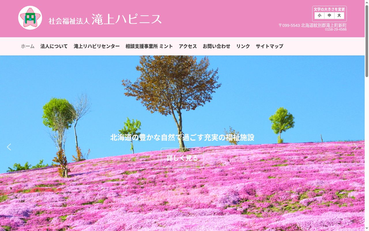 相談支援事業所　ミントの公式サイトのスクリーンショット