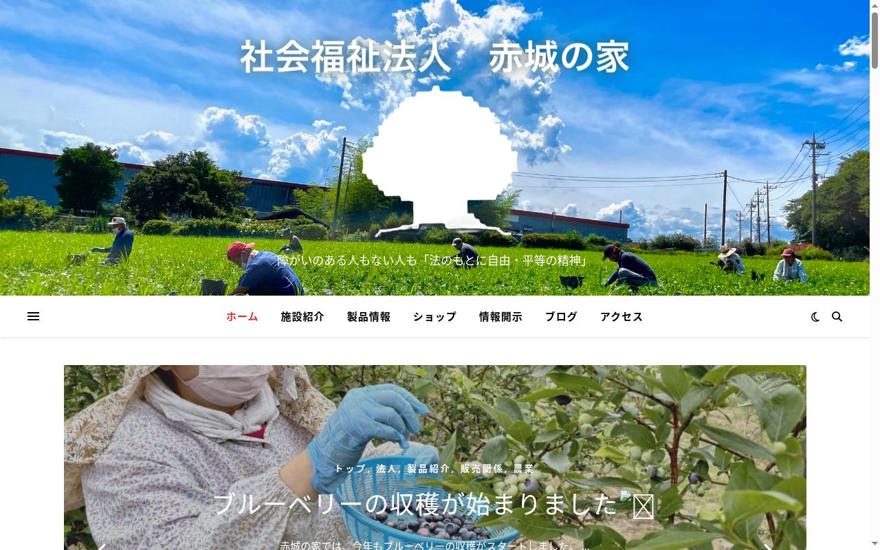 相談支援事業所 花の公式サイトのスクリーンショット