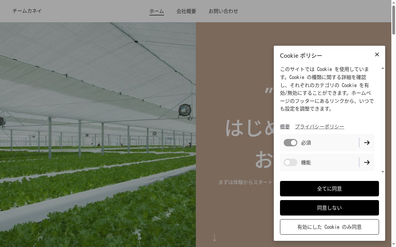 チームカネイの公式サイトのスクリーンショット