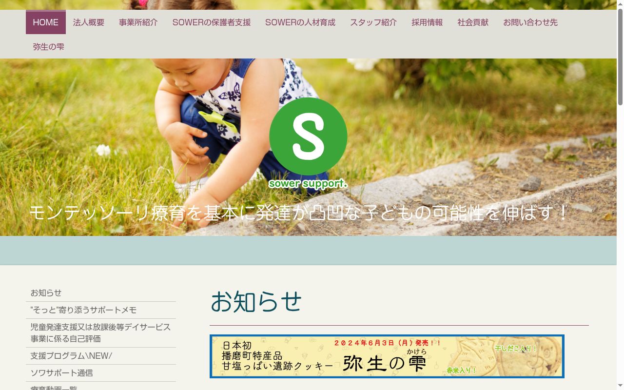 放課後等デイサービス・児童発達支援事業所カーサの公式サイトのスクリーンショット