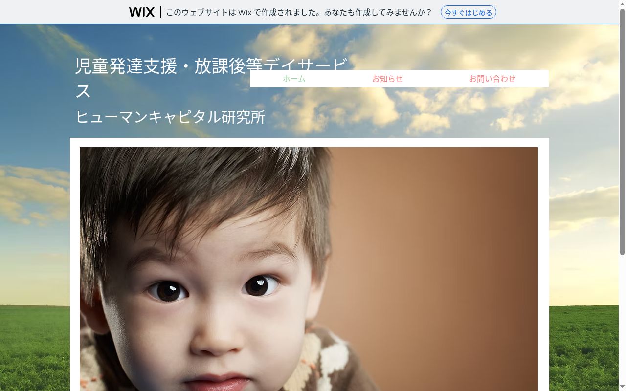 ドルフィンズの公式サイトのスクリーンショット